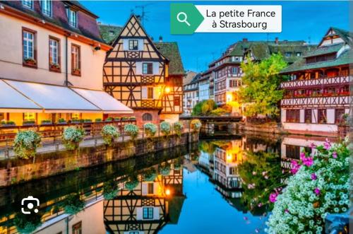 Skats, Mobil home 5 pers proche d'Europa Park E020 in Friesenheim