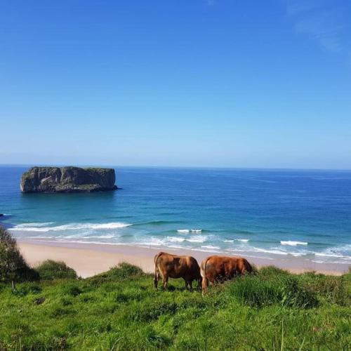 Apartamento Kika en Barro, Llanes