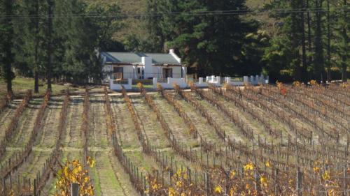 Topiary Wine Estate & Cottages