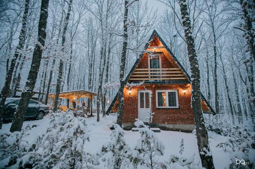 STANET Forest Houses