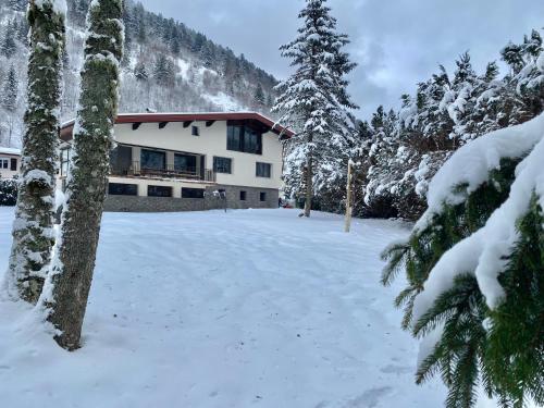 LE VERTBRUCHE - Gîte avec superbe vue pour 15 pers - Location saisonnière - La Bresse