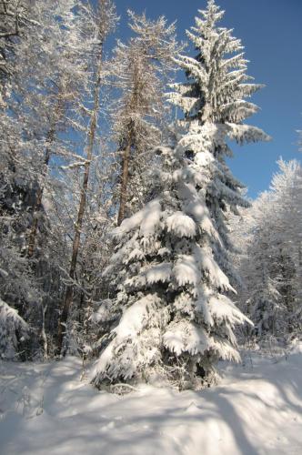 Ferienwohnung Raderhaus - image 3