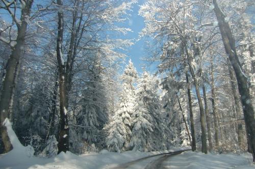 Ferienwohnung Raderhaus - image 4