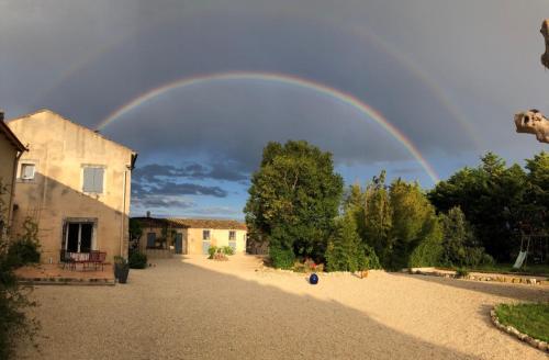 Mas Gardane - Chambre d'hôtes - Pernes-les-Fontaines