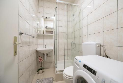 One-Bedroom Apartment image 4