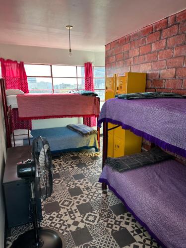 Casa Eufemia Hostel type Casa Eufemia Hostel type