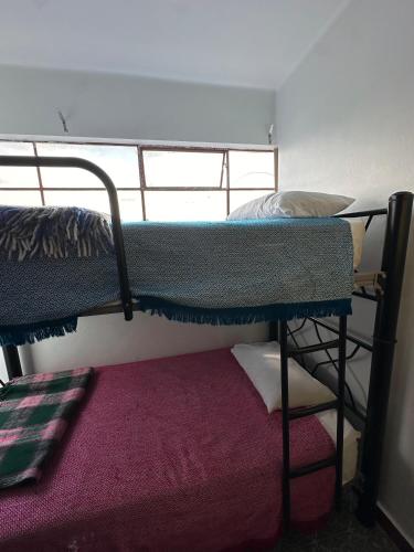 Casa Eufemia Hostel type Casa Eufemia Hostel type