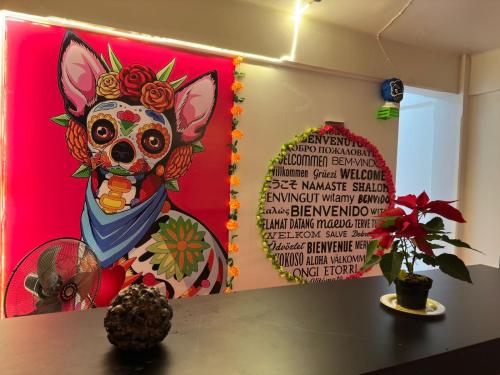 Casa Eufemia Hostel type Casa Eufemia Hostel type