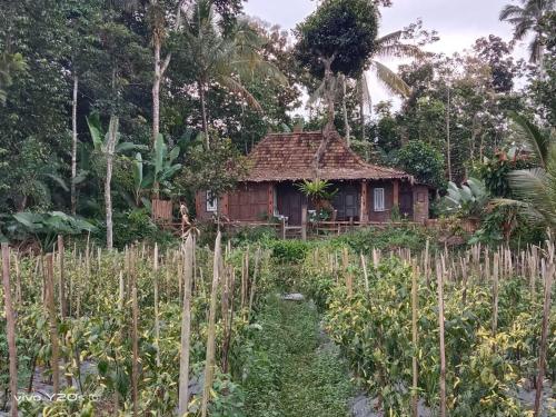 MAKCIK Heritage Villa & Cafe – Yogyakarta, MN