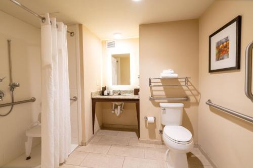 King Room - Disability Access Hearing Accessible - Roll-In Shower
