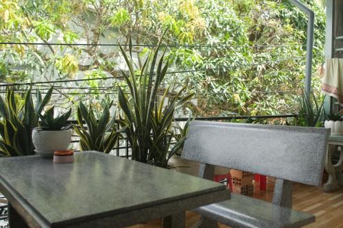 Duong Hieu Guesthouse - 발코니/테라스