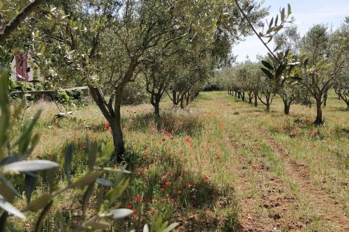 Gîte L’escale provençale