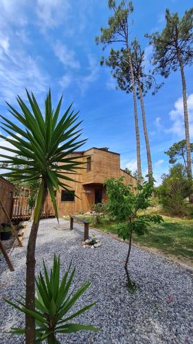 Bukubaki Eco Surf Resort - image 5