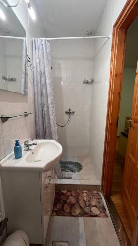 Shower, Szelkakas Vendeghaz in Morahalom