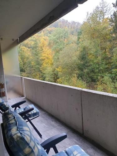 Appartement ComfortZone im Harz mit Sauna und Pool in 巴德 哈爾茨堡