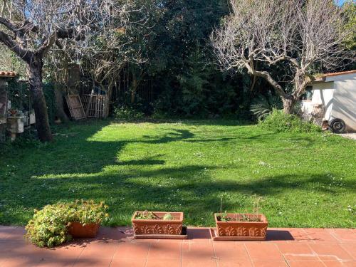Garden, Appartamento con giardino a Selcetta vicino Campus Biomedico in Selcetta