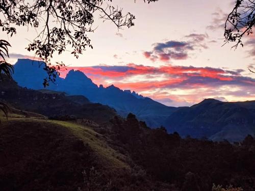 Exterior view of Highbourne Cottages