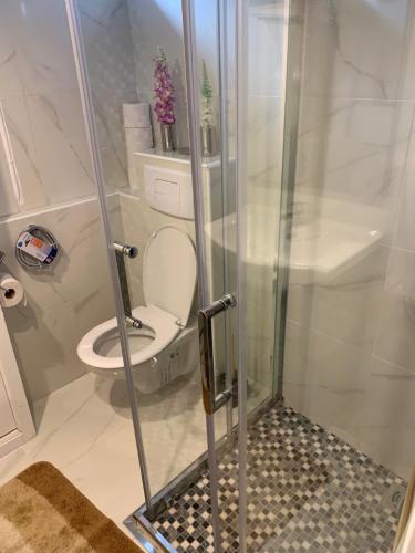 Apartment near Geneva Airport and Palexpo, Ginebra (foto 7)