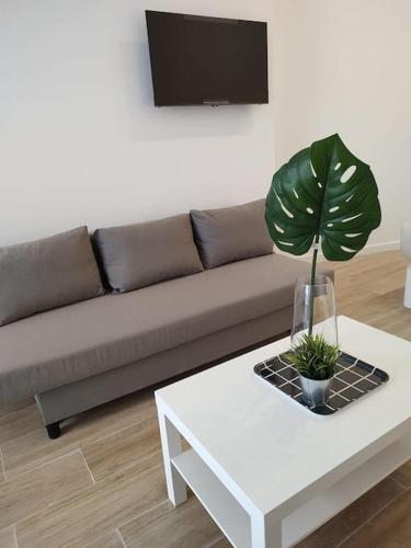 Nuevo loft en playa y cerca del centro, AC y Wifi, Valencie (fotografie 5)