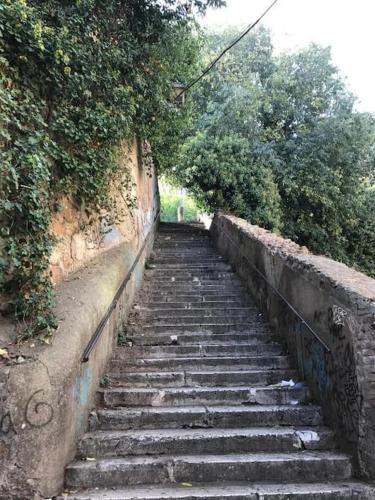 Beloved Trastevere - image 3
