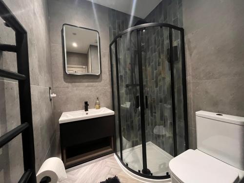 Central private 1 bed flat, Reading (fotografie 9)