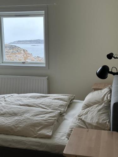 Modern seaview vacation house, Ilulissat