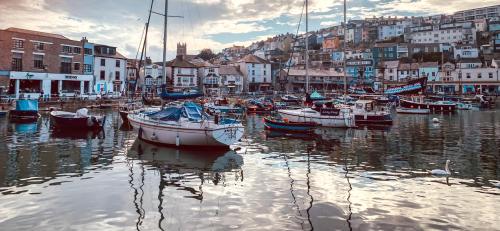 Driftwood B&B - Accommodation - Brixham