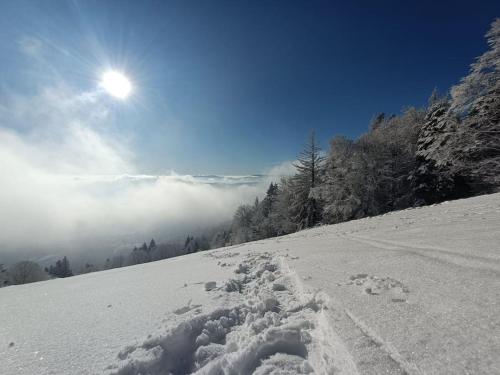 สภาพแวดล้อมโดยรอบ, Charmant meublé classé 3 étoiles dans ferme du XIXe restaurée (Charmant meuble classe 3 etoiles dans ferme du XIXe restauree) in เลอโฮห์วาล์ด