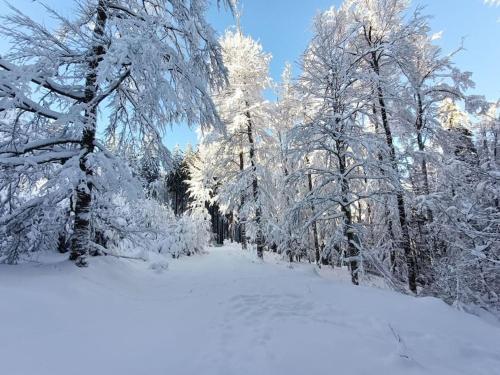 สภาพแวดล้อมโดยรอบ, Charmant meublé classé 3 étoiles dans ferme du XIXe restaurée (Charmant meuble classe 3 etoiles dans ferme du XIXe restauree) in เลอโฮห์วาล์ด