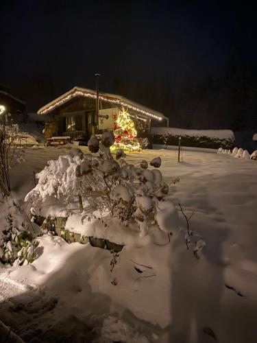 Das Alte Forsthaus Spiegelhütte