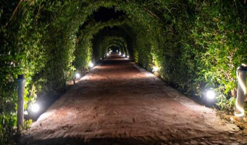 taman, Fox House Beach Resort & Spa El Gouna in Hurghada