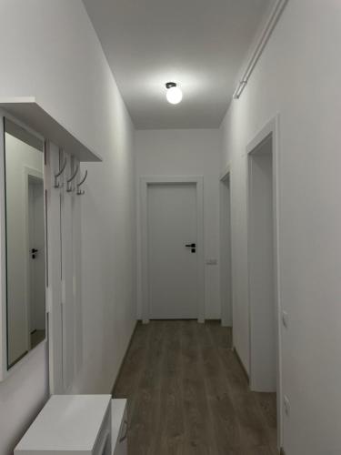 入口, Neutral Nest in 錫比烏市中心