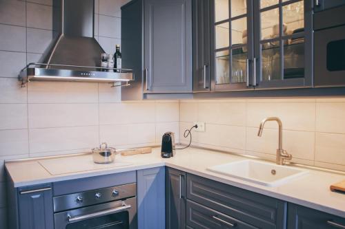 Luxury Renovated - 600 Mbit - 64 M2 - 65 inch TV, Riga (foto 4)