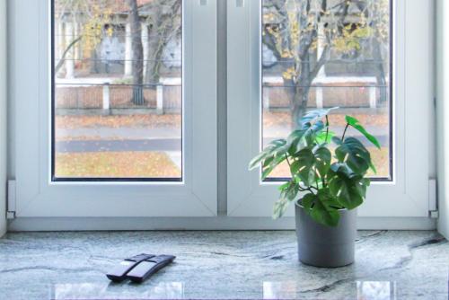 Luxury Renovated - 600 Mbit - 64 M2 - 65 inch TV, Riga (foto 7)
