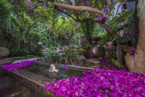 Casa No Name Small Luxury Hotel photo 2