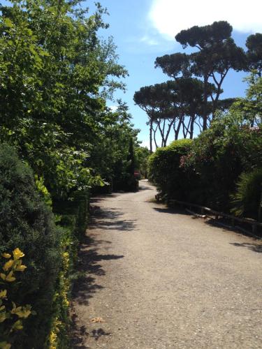 Camping Paradiso - image 12
