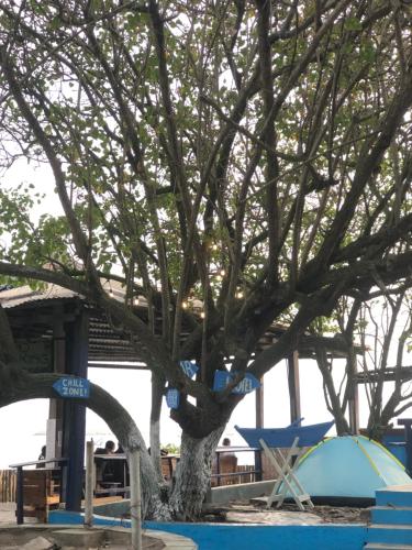 Rising Phoenix in Ashiedu Keteke