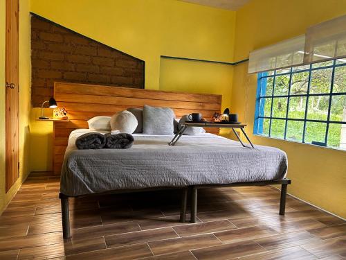 Casa en el bosque, relajate y disfruta la naturaleza in Tepoztlán, Mexico