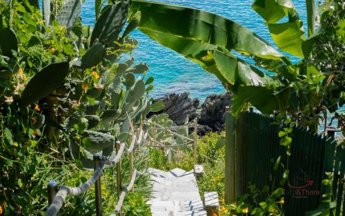 New Open Space - WiFi - Smart TV - Sea at 2 minutes, Varazze (fotografie 2)