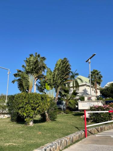 Studio Iguana in Saint Martin