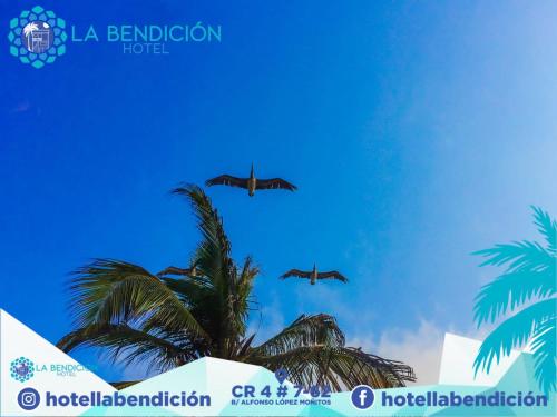 Hotel la Bendición