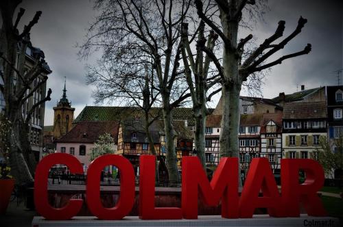 Charmant apt Cosy 5min de Colmar