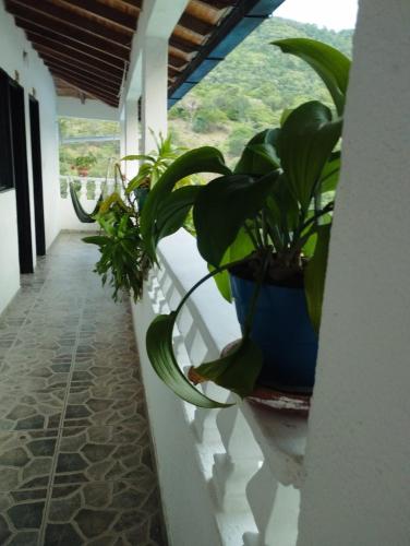 Kilátás, HOTEL VILLA CAMPESTRE AVENTUREROS in San Gil