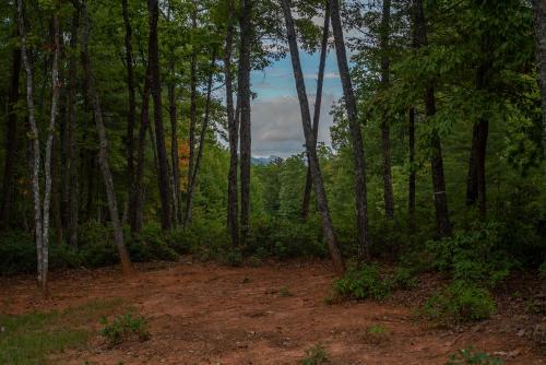Mountain Days Pet Friendly, Fire Pit, Boat Slip in Nebo, USA