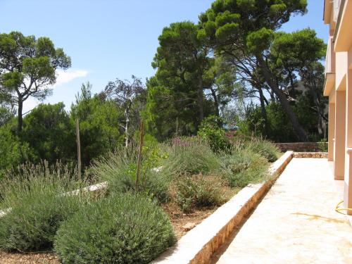 Apartment Sveta Nedilja 14086b in Sveta Nedilja