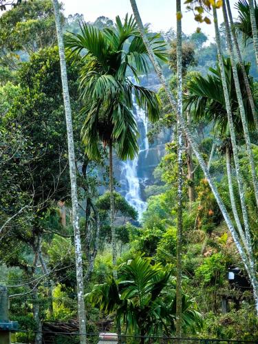Cozy Homestay Waterfall Road Ella