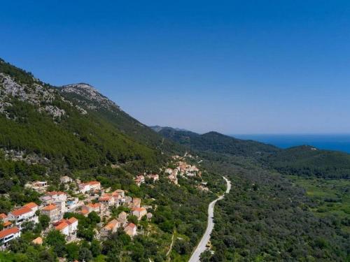 Apartments with a parking space Babino Polje, Mljet - 22323