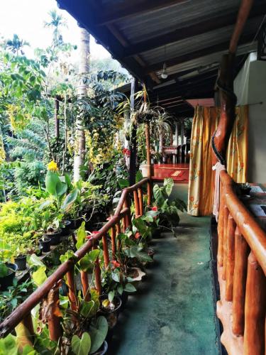 Cozy Homestay Waterfall Road Ella - image 5