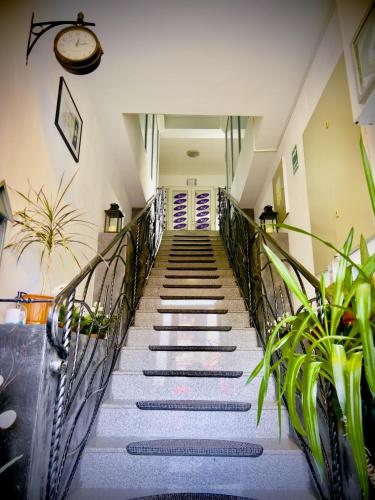 Cazare MOLDI - regim hotelier - image 13