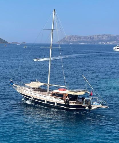 Albatros-Q - image 2